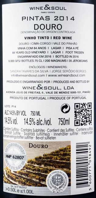 2014 Pintas tinto