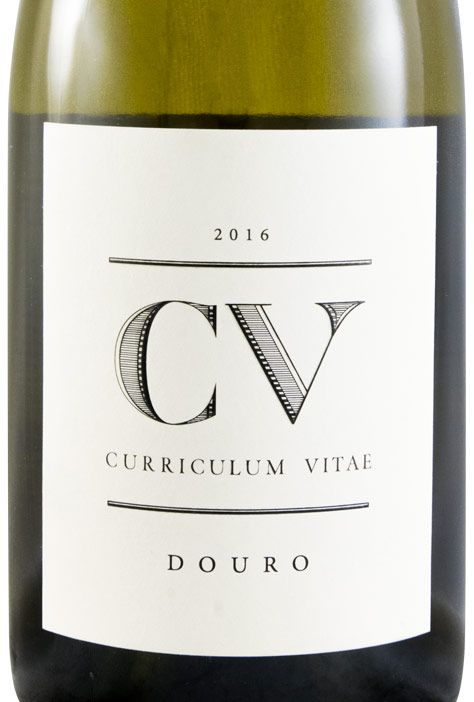 2016 Curriculum Vitae branco