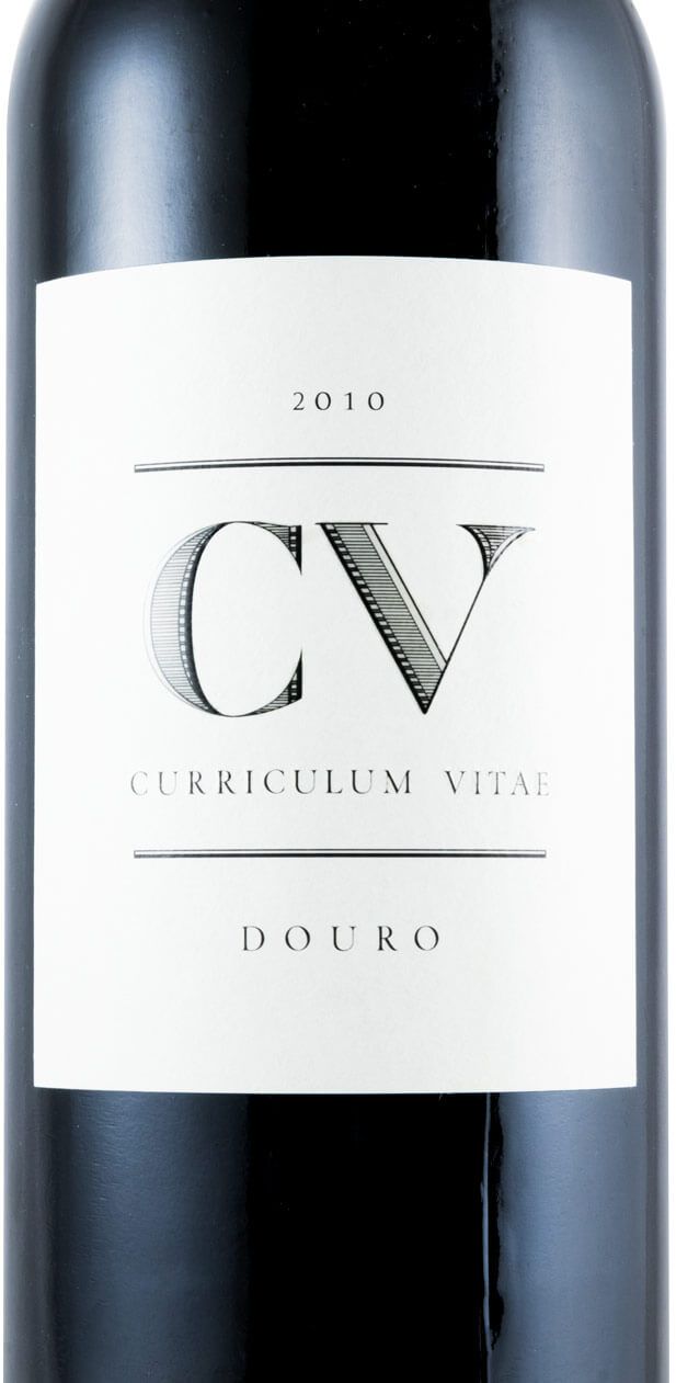 2010 Curriculum Vitae tinto