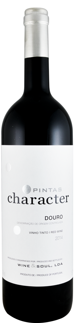 2014 Pintas Character tinto 1,5L
