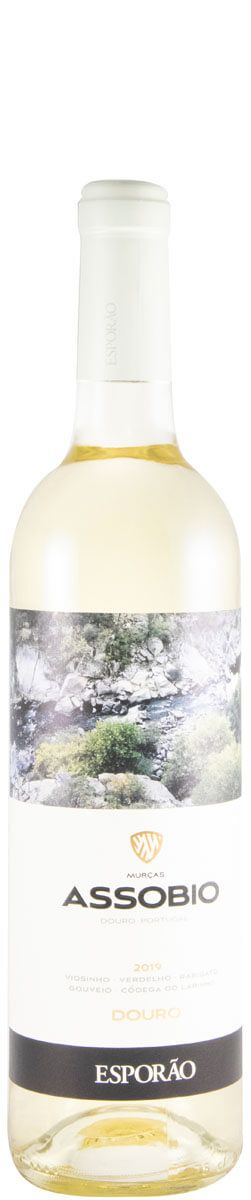 2019 Assobio white