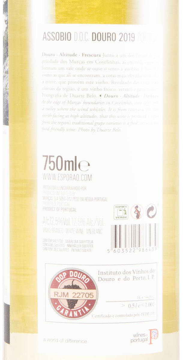2019 Assobio white