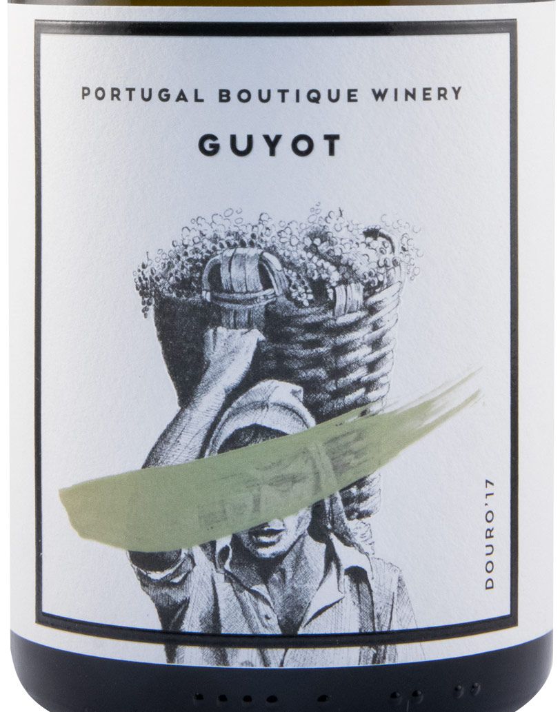 2017 Guyot white