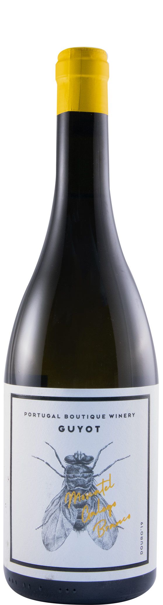 2019 Guyot Moscatel Galego white