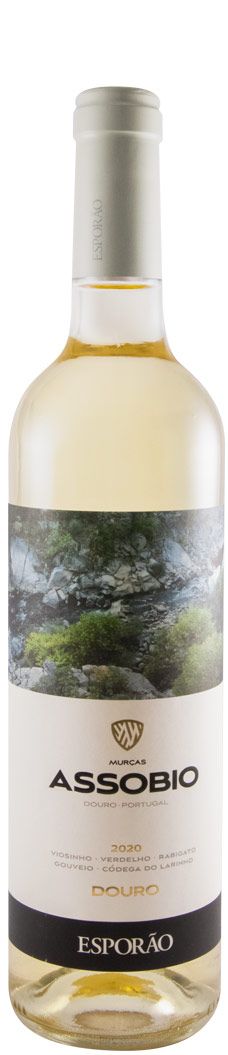 2020 Assobio branco