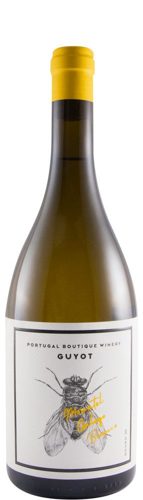 2020 Guyot Moscatel Galego white