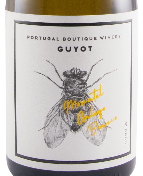 2020 Guyot Moscatel Galego white