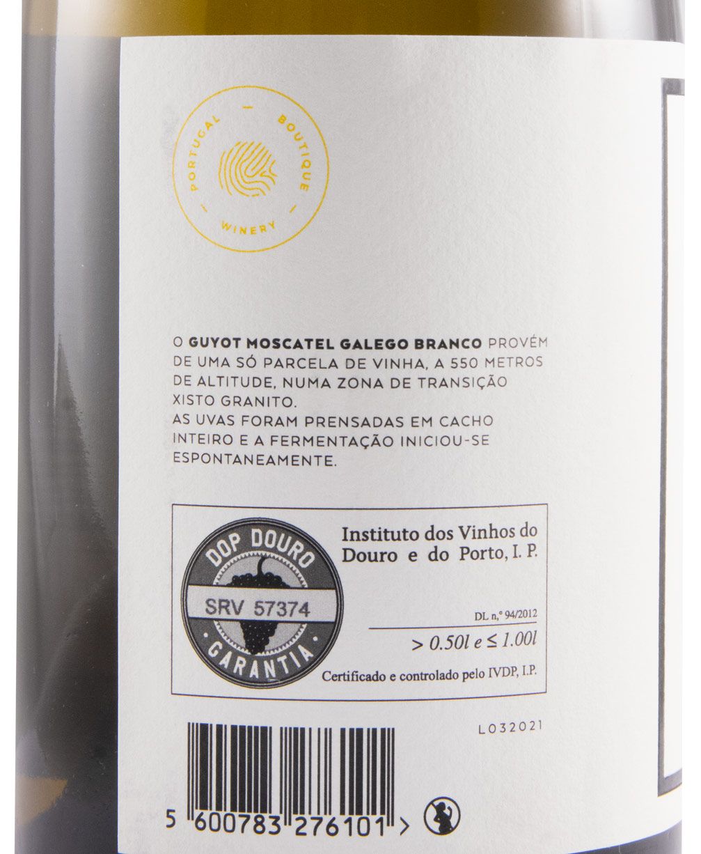 2020 Guyot Moscatel Galego white