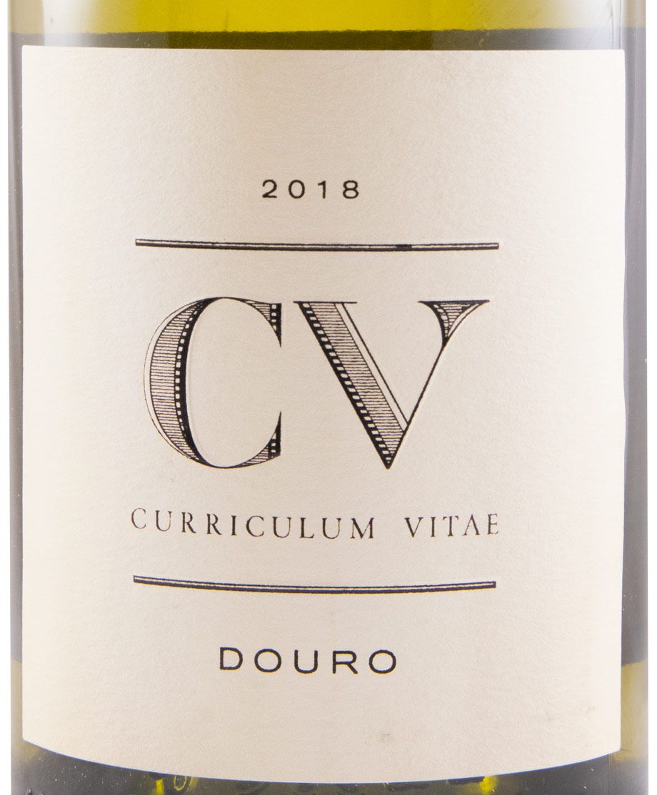 2018 Curriculum Vitae branco