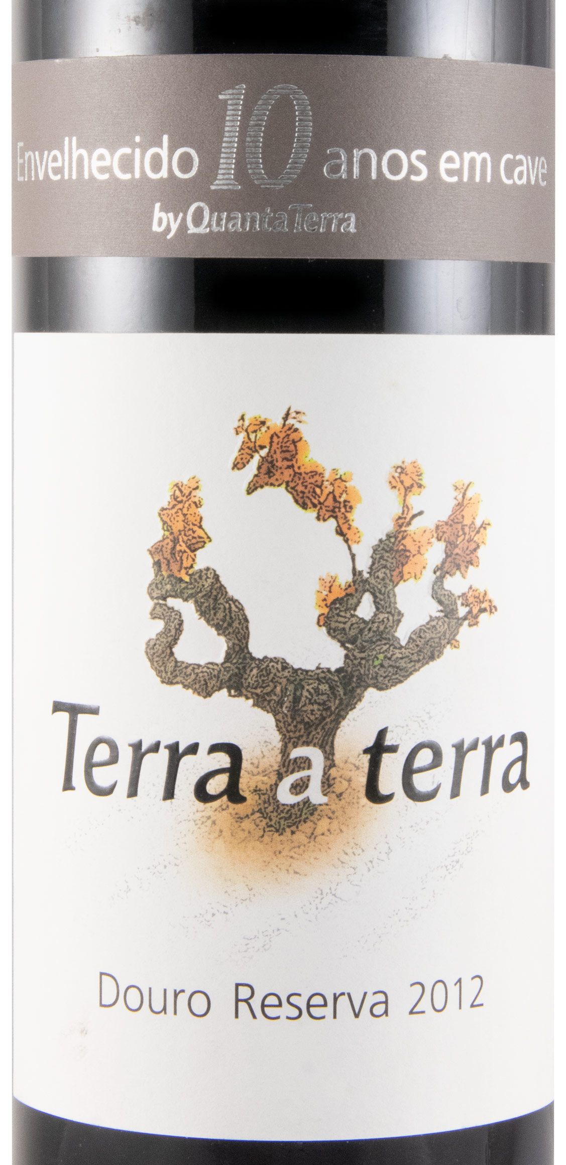 2012 Terra a Terra Reserva tinto
