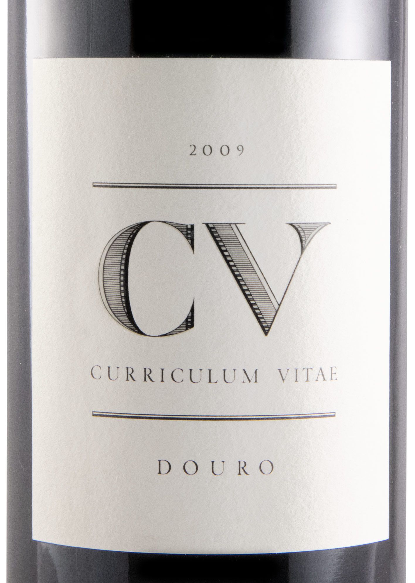 2009 Curriculum Vitae tinto