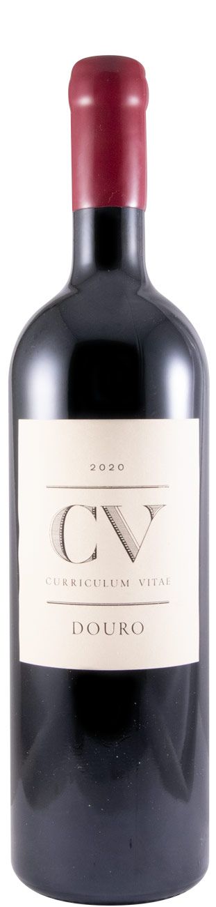 2020 Curriculum Vitae tinto