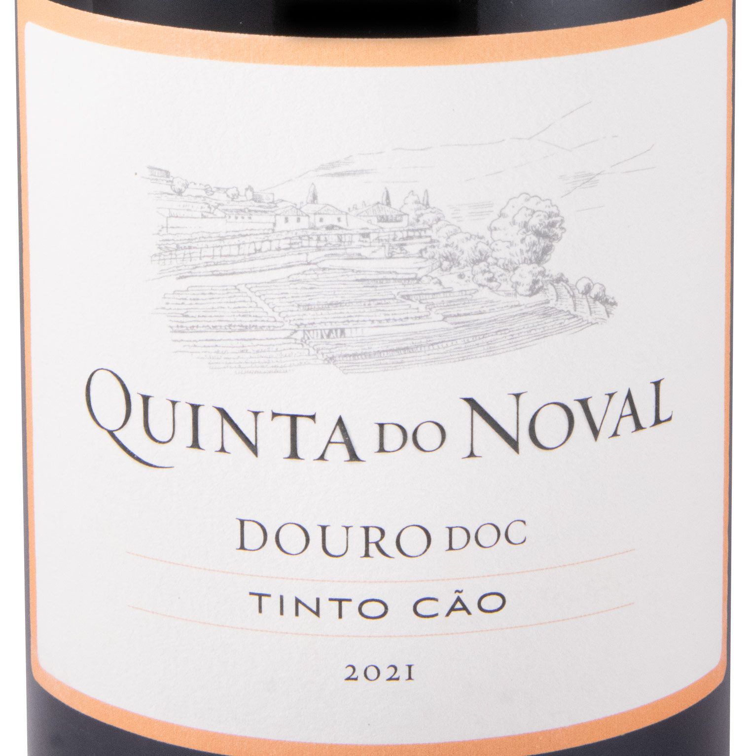 2021 Quinta do Noval Tinto Cão red