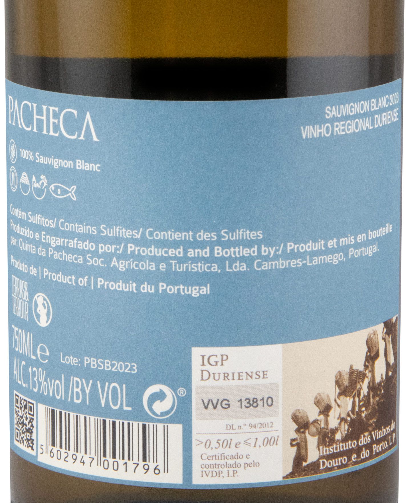 2023 Pacheca Sauvignon Blanc white