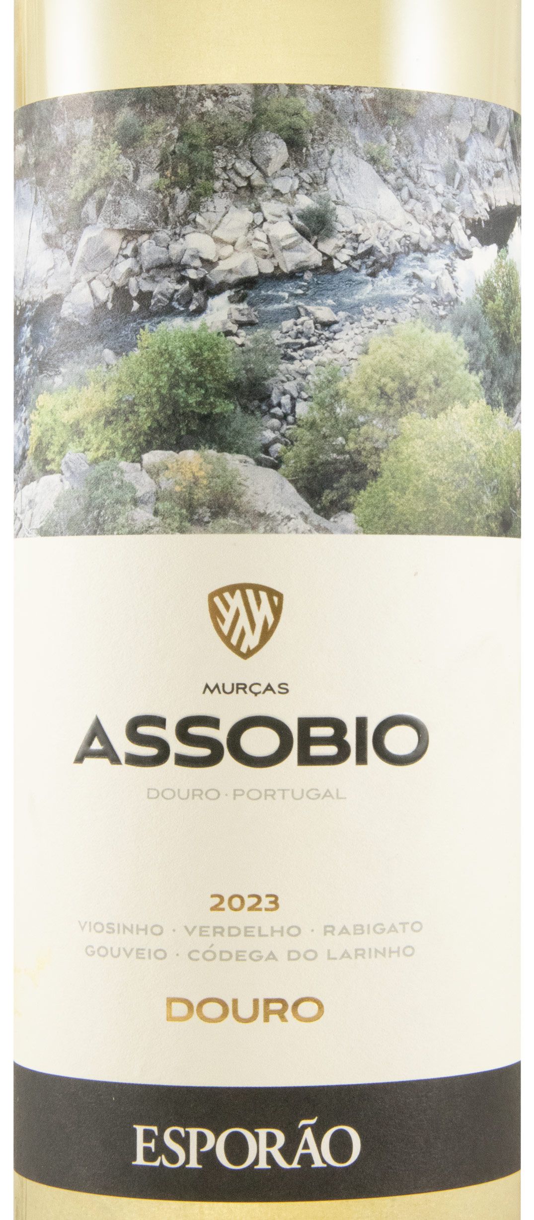 2023 Assobio white