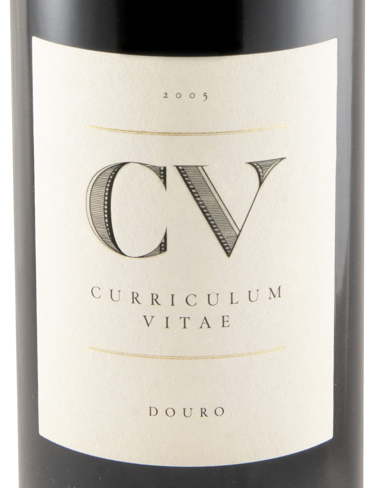 2005 Curriculum Vitae red