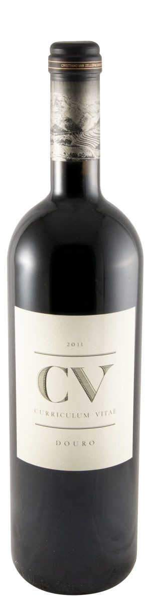 2011 Curriculum Vitae tinto