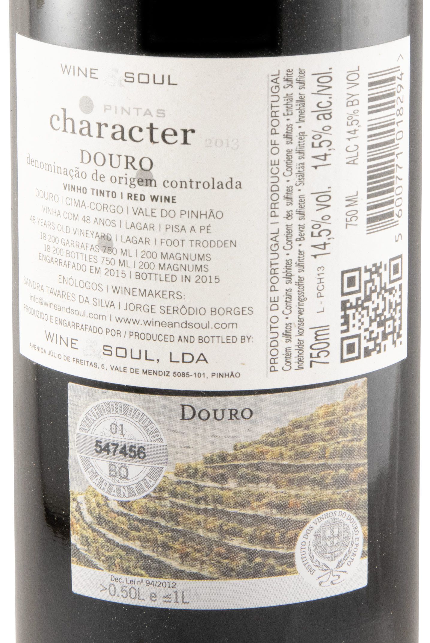 2013 Pintas Character tinto
