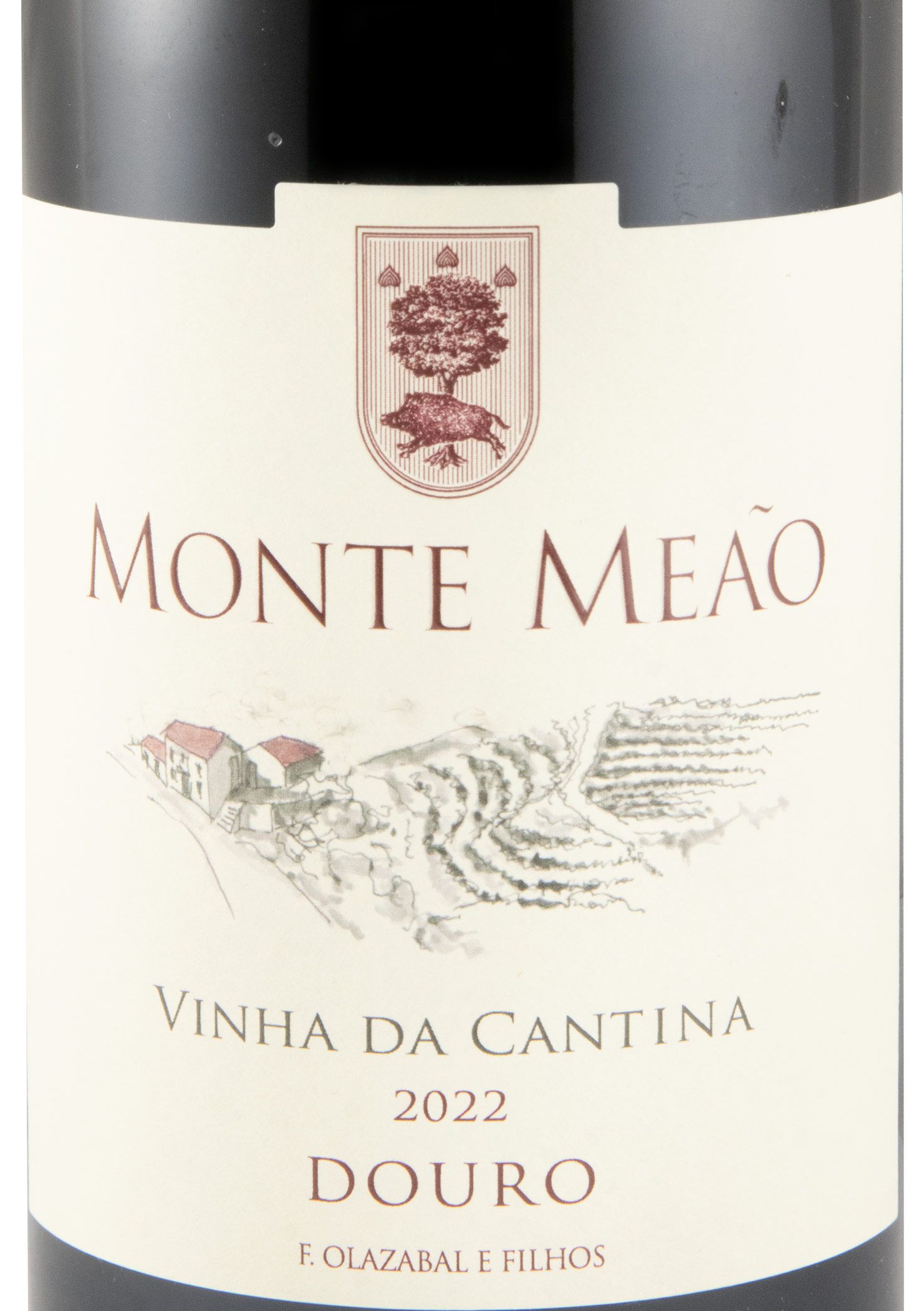 2022 Monte Meão Vinha da Cantina Baga tinto