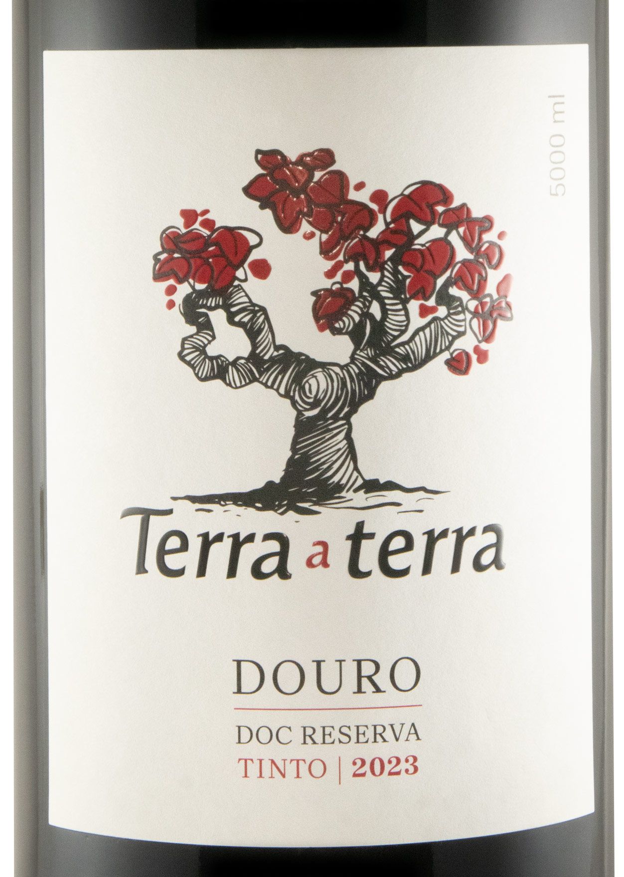 2023 Terra a Terra Reserva tinto 5L