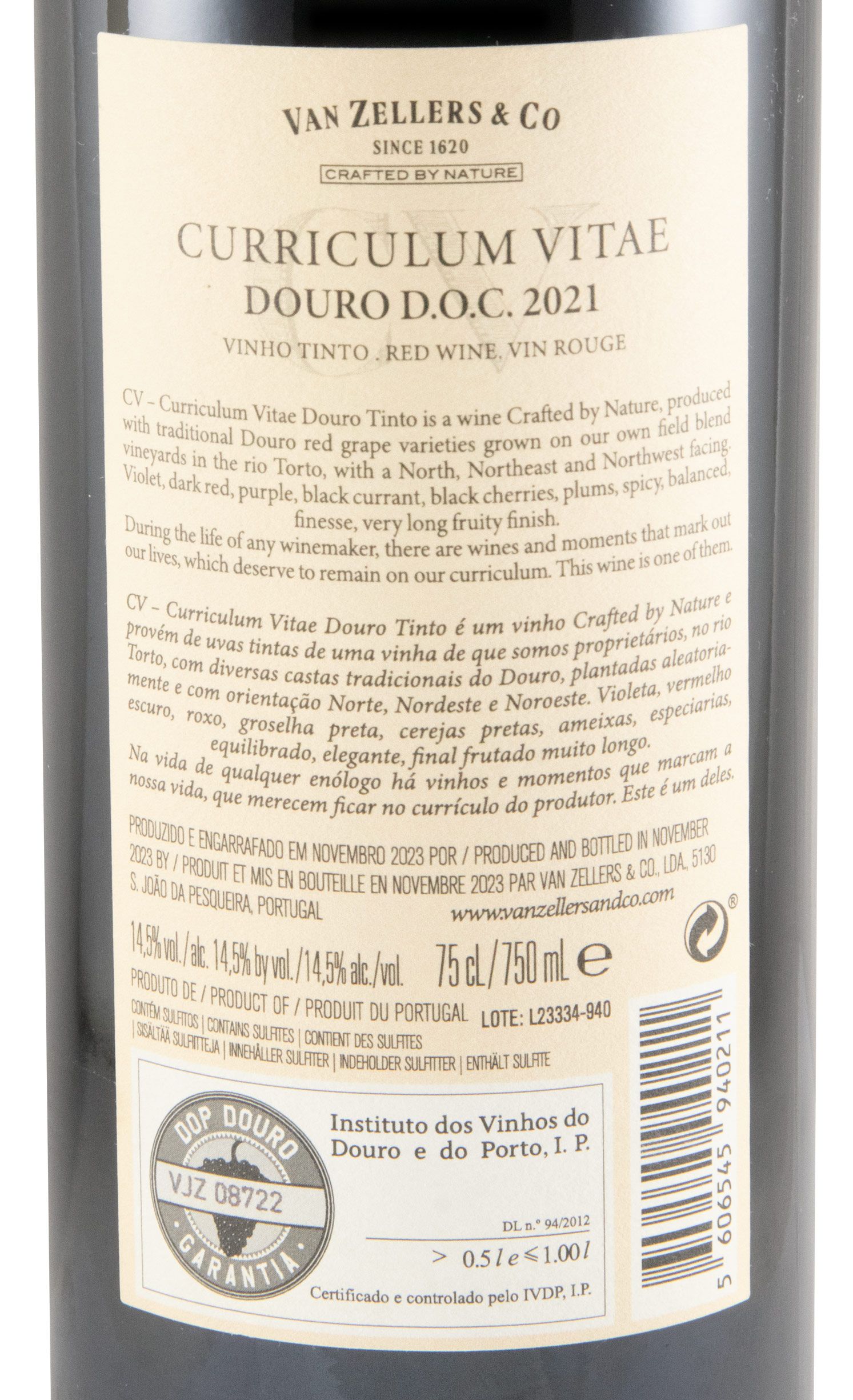 2021 Curriculum Vitae tinto