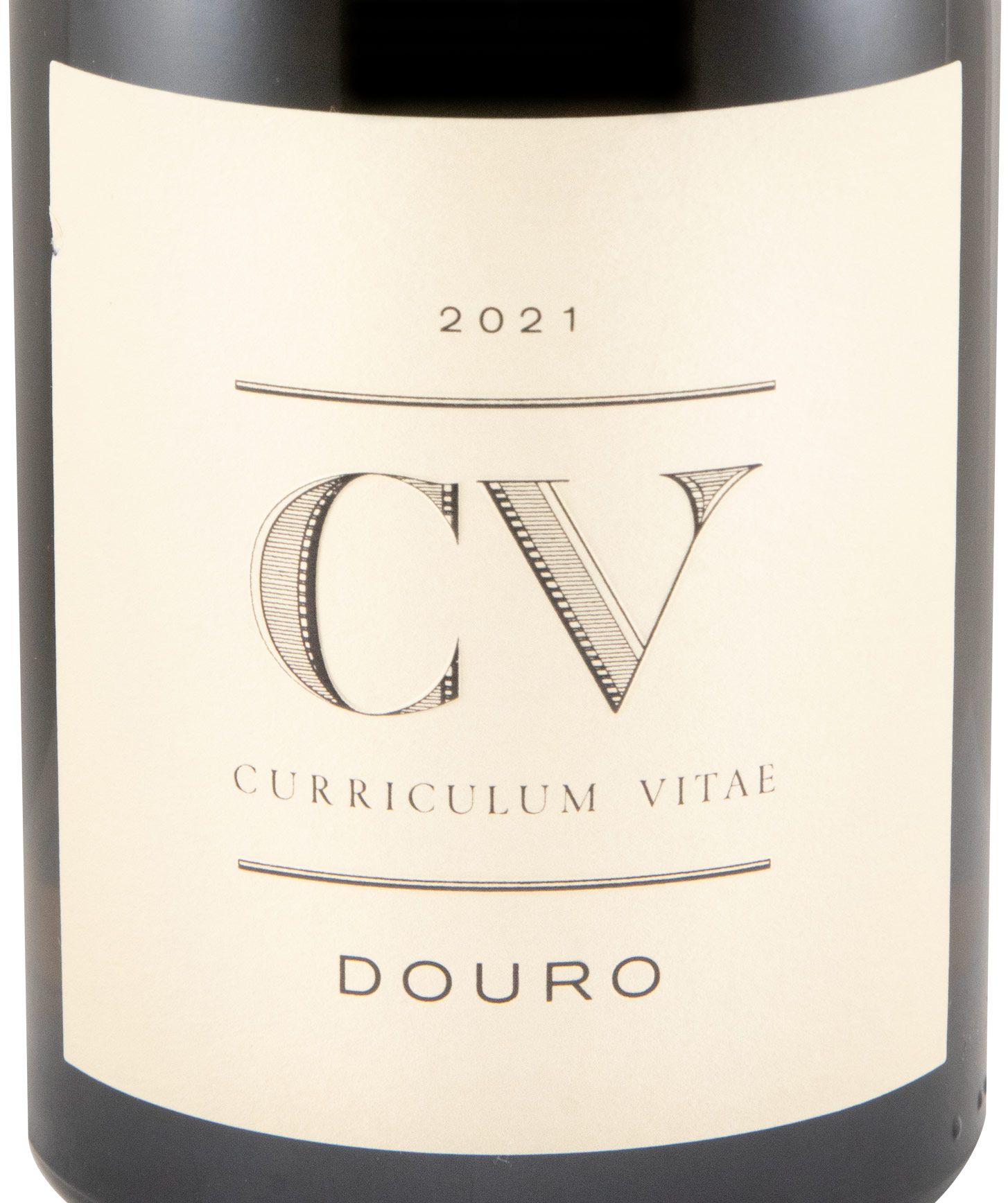 2021 Curriculum Vitae branco