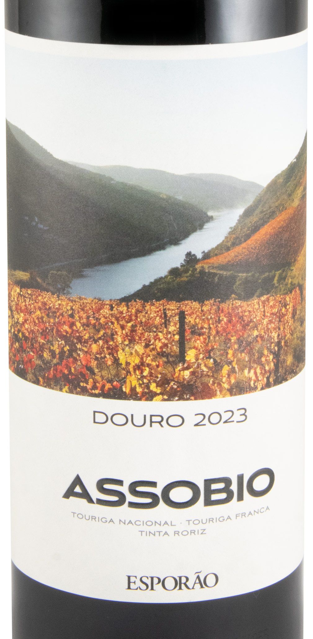 2023 Assobio red