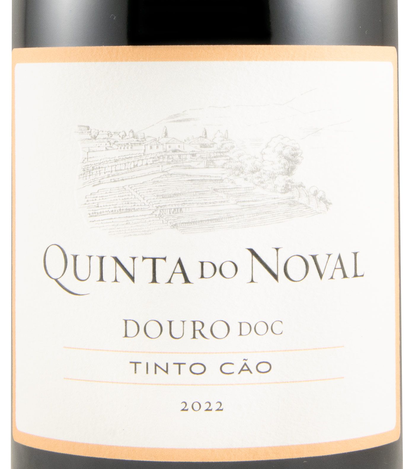 2022 Quinta do Noval Tinto Cão tinto