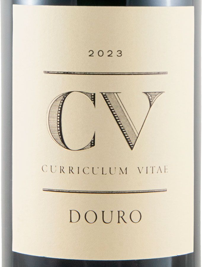 2023 Curriculum Vitae tinto
