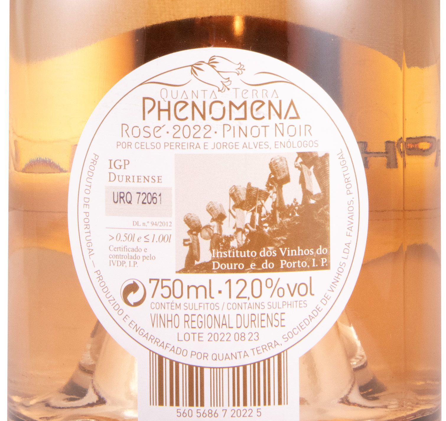 2022 Quanta Terra Phenomena rosé