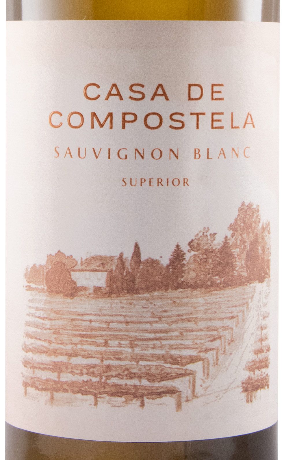 2021 Casa de Compostela Sauvignon Blanc white