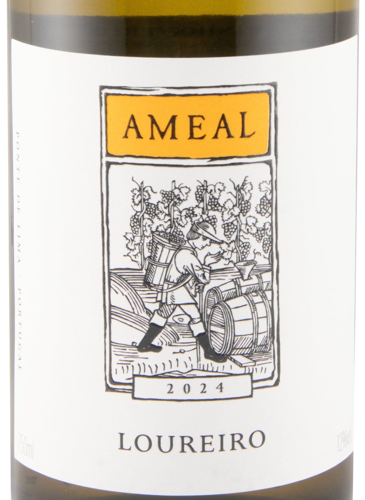 2024 Ameal Loureiro white