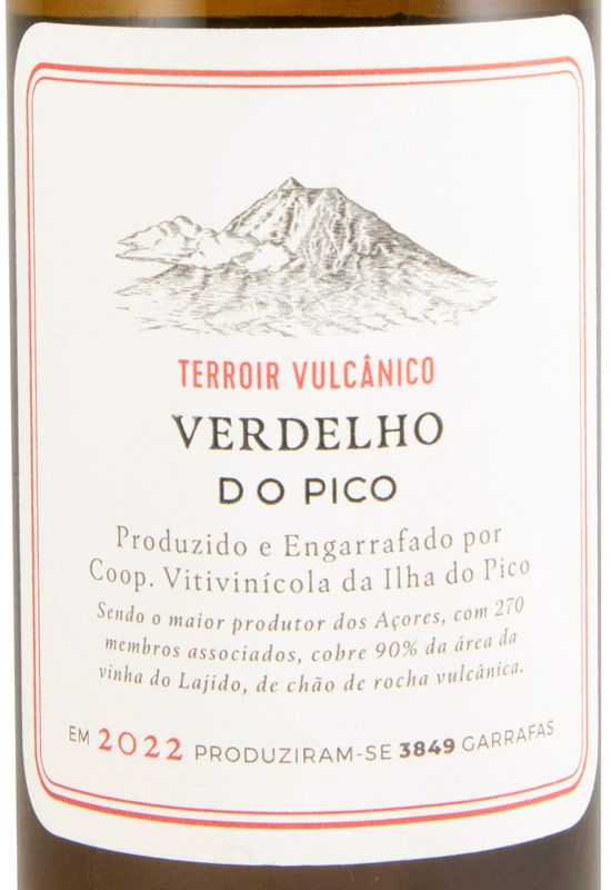 2022 Picowines Verdelho white