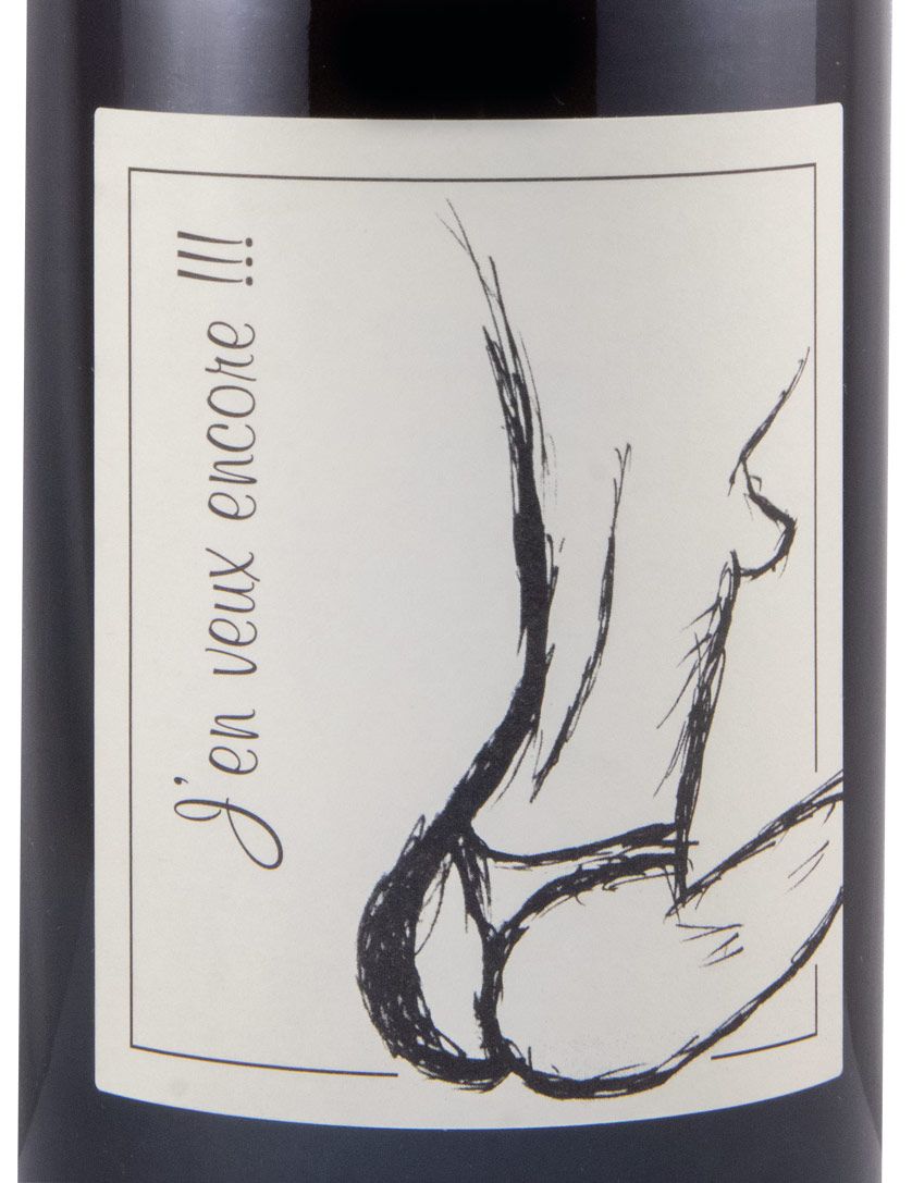 2019 Jean-François Ganevat J'en veux encore organic red