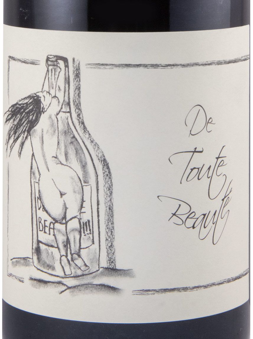 2019 Jean-François Ganevat De Tout Beauté biológico tinto