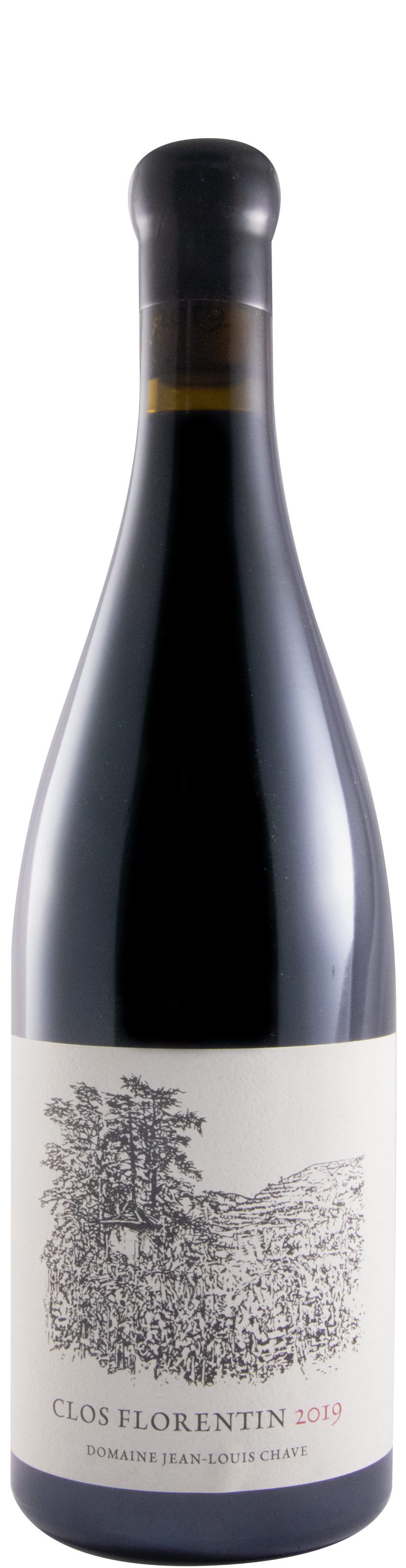 2019 Domaine Jean-Louis Chave Clos Forentin Saint-Joseph red