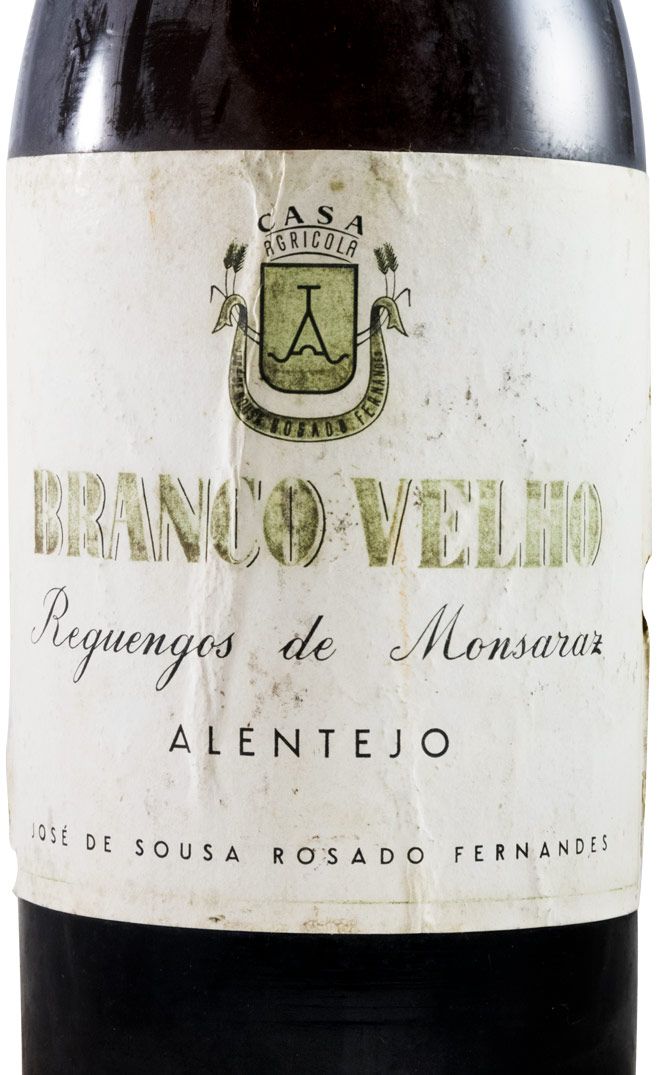 José de Sousa Rosado Fernandes Velho white