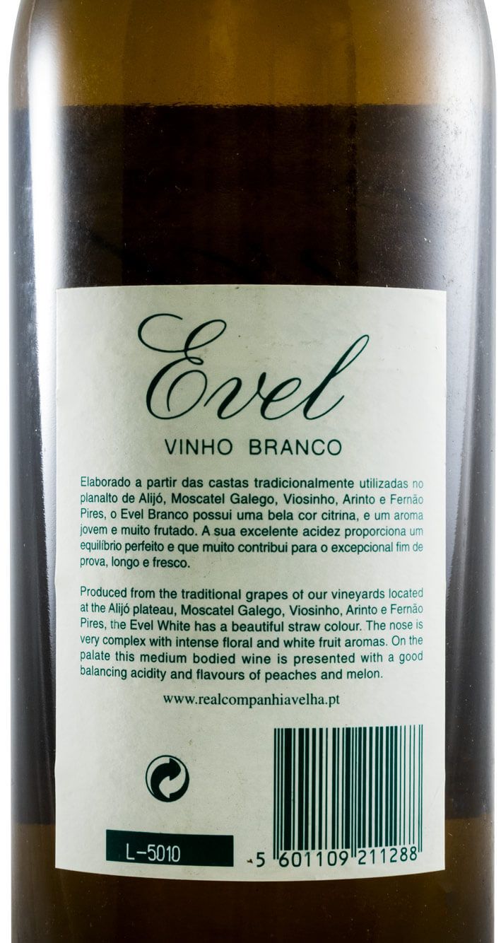 2004 Evel branco