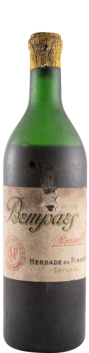 Pinheiro da Cruz Bempaes white
