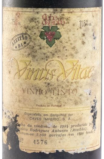 1984 Vinus Vitae Azeitão tinto