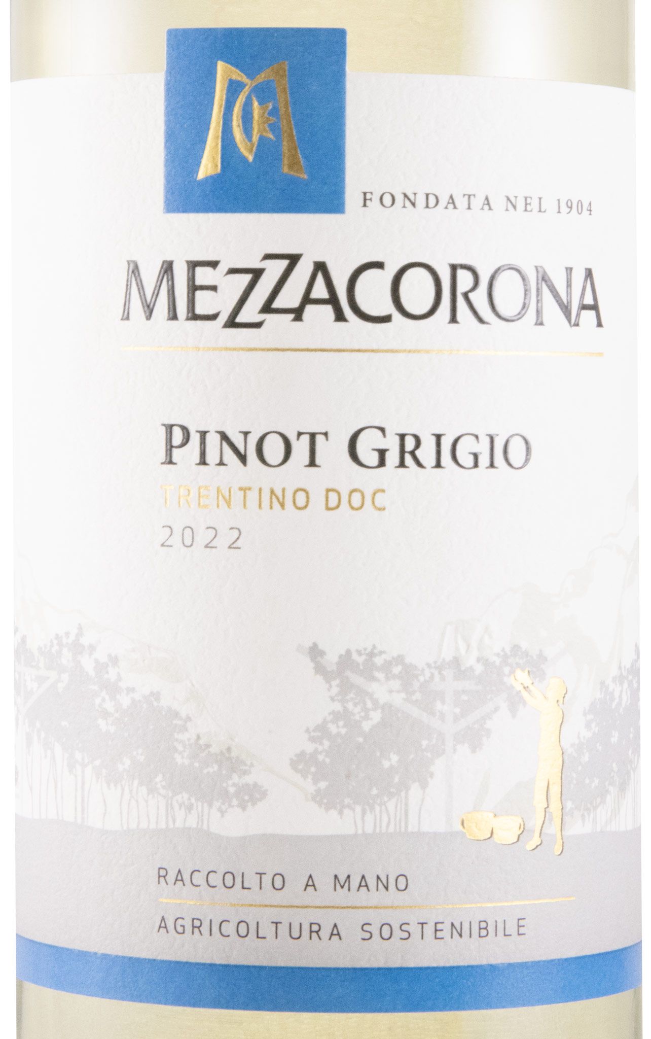 2022 Mezzacorona Pinot Grigio branco