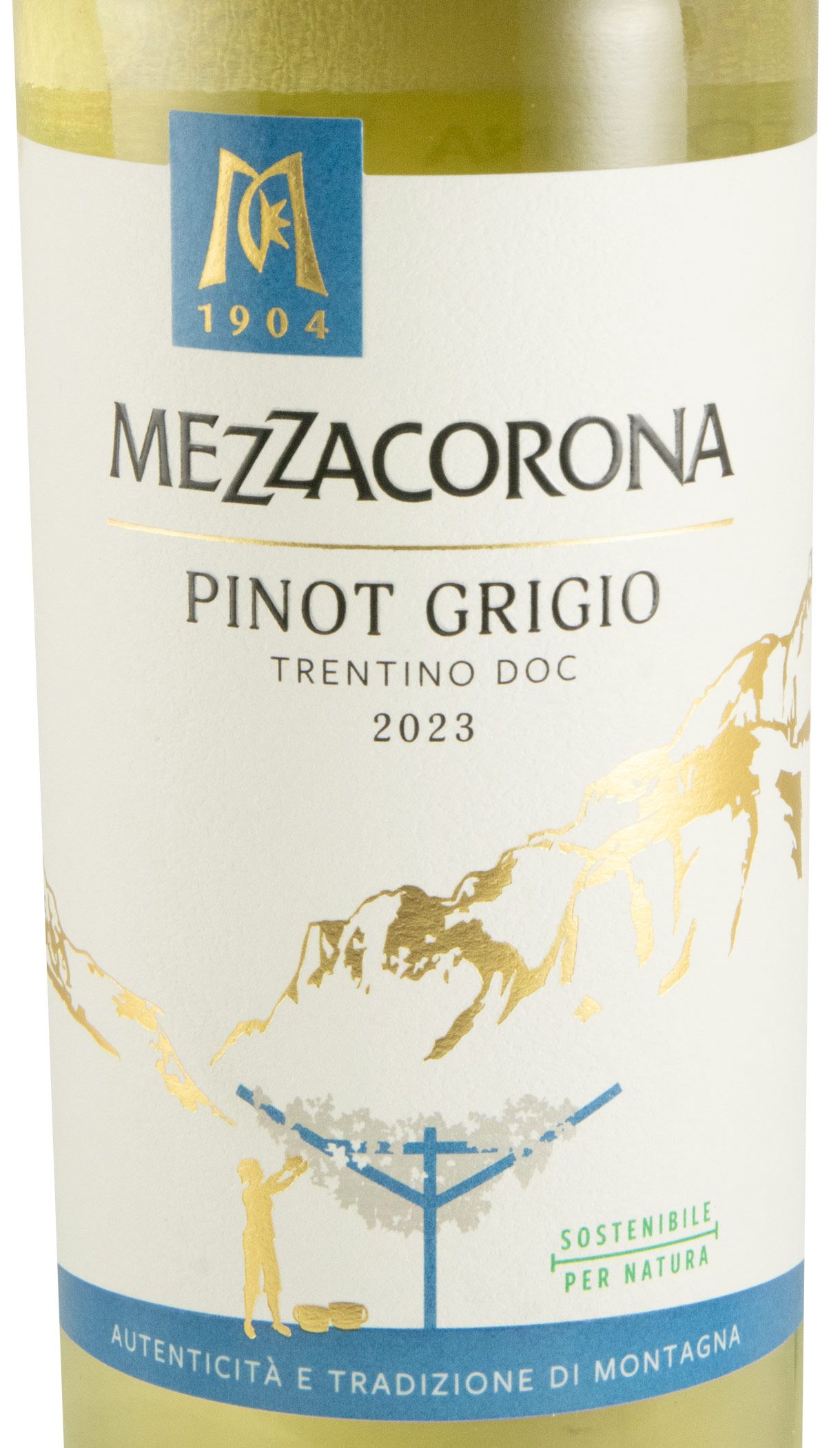 2023 Mezzacorona Pinot Grigio branco (rótulo danificado)