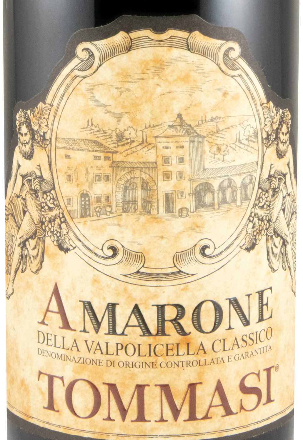 2021 Tommasi Amarone della Valpolicella Classico red
