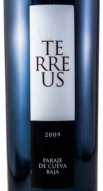 2009 Bodegas Mauro Terreus Paraje de Cueva Baja Castilla y León tinto