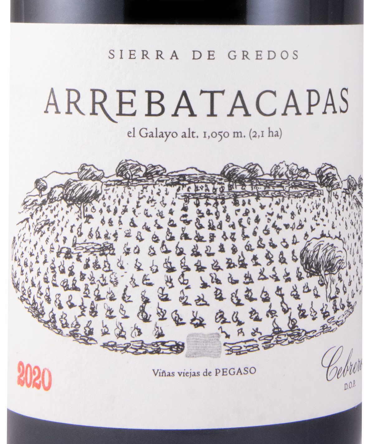 2020 Telmo Rodríguez Pegaso Arrebatacapas Sierra de Gredos tinto