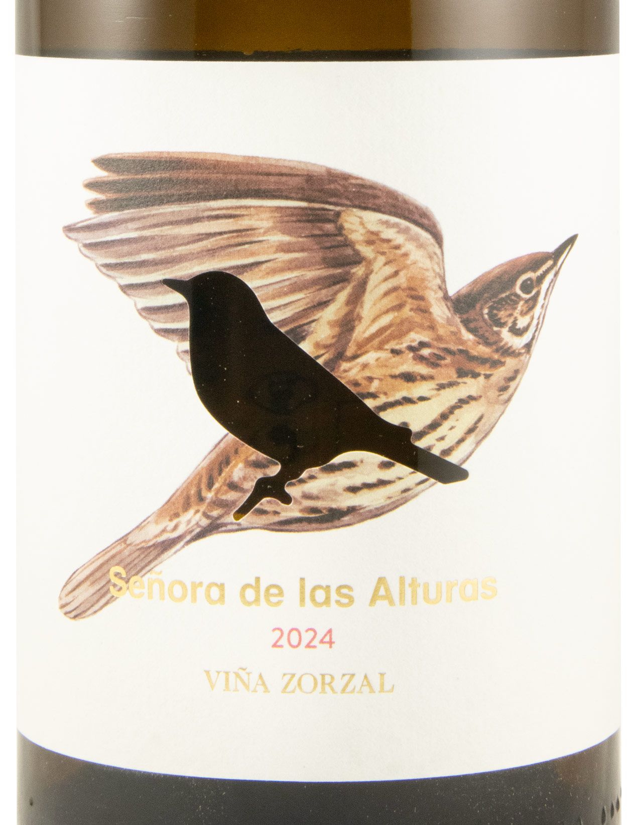 2024 Viña Zorzal Señora de las Alturas white