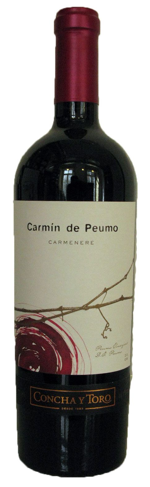 2008 Concha Y Toro Carmin de Peumo Vale Maipo tinto