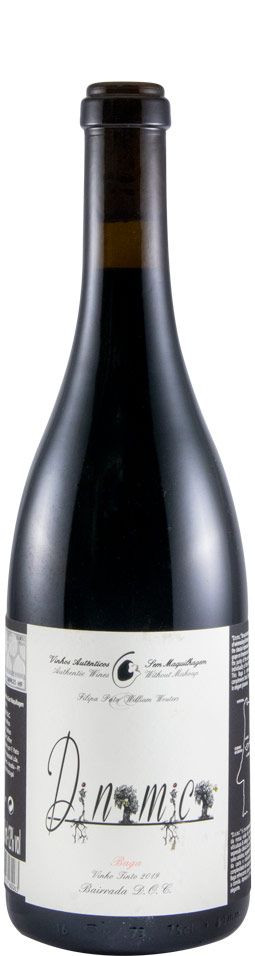 2019 Filipa Pato Dinamica red
