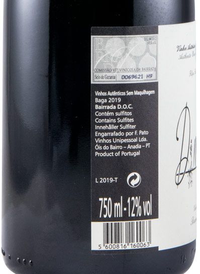 2019 Filipa Pato Dinamica red