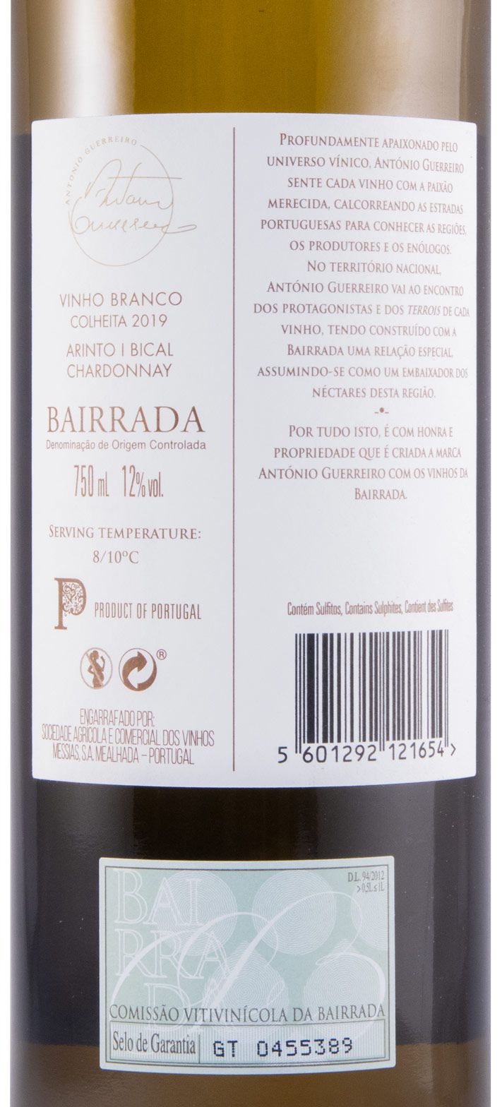 2019 António Guerreiro branco